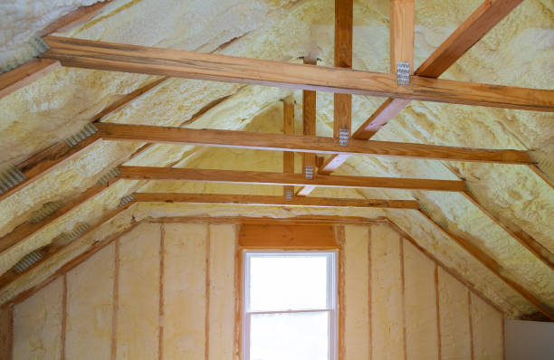 Best Insulation Replacement Services  in Somerville, TN