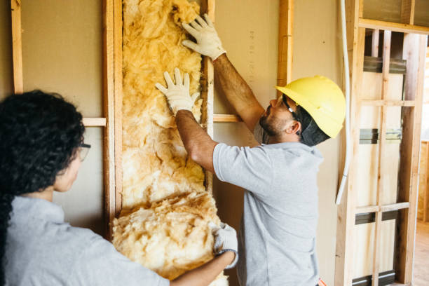 Best Soundproof Insulation Installation  in Somerville, TN