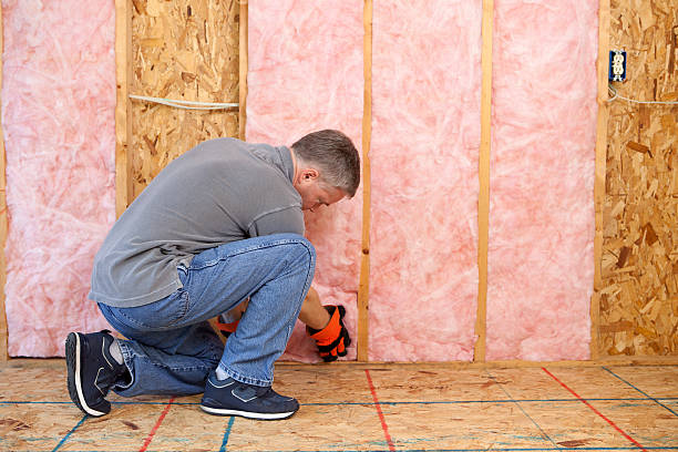Best Insulation for New Construction  in Somerville, TN