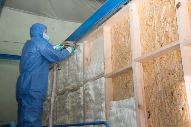 Best Garage Insulation Installation  in Somerville, TN
