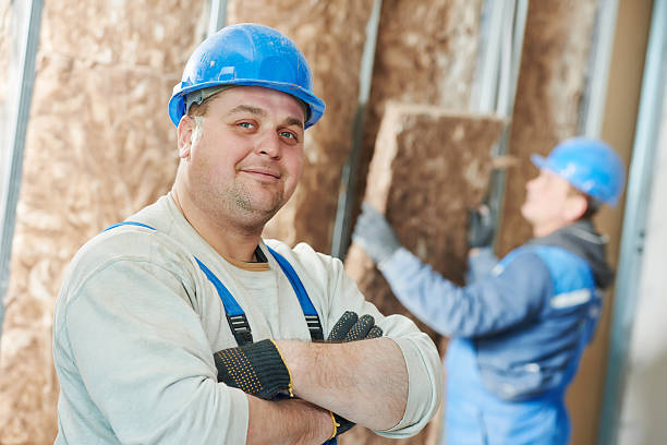 Best Insulation Inspection Services  in Somerville, TN